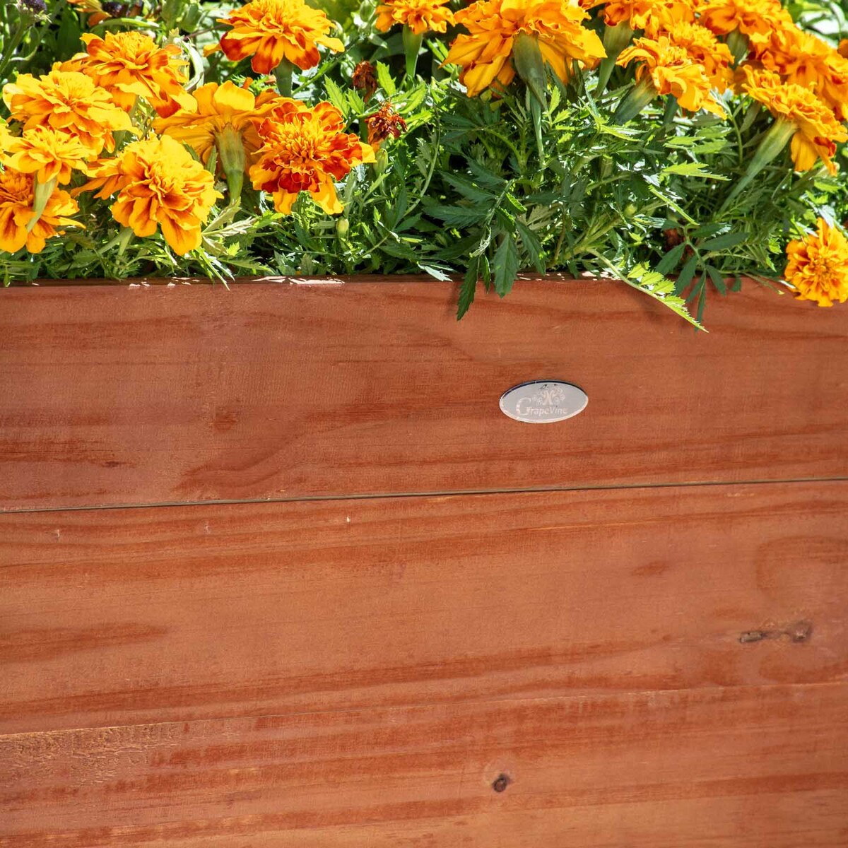 Grapevine recycled wood planter